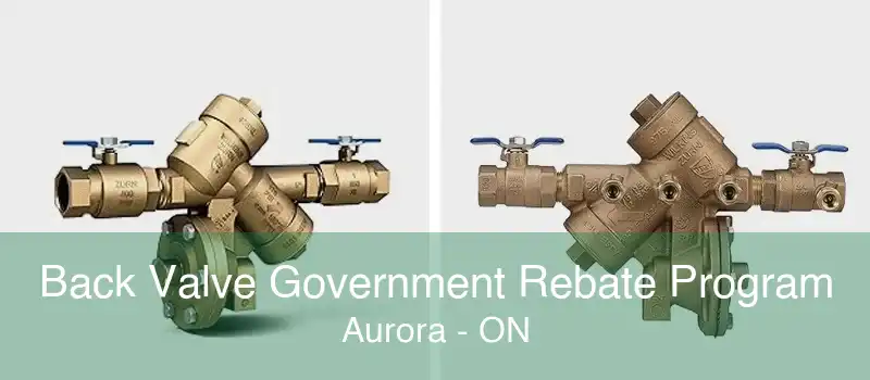 Back Valve Government Rebate Program Aurora - ON