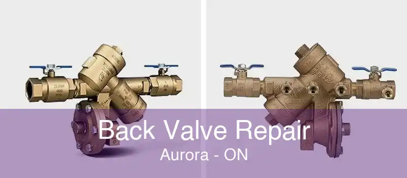 Back Valve Repair Aurora - ON