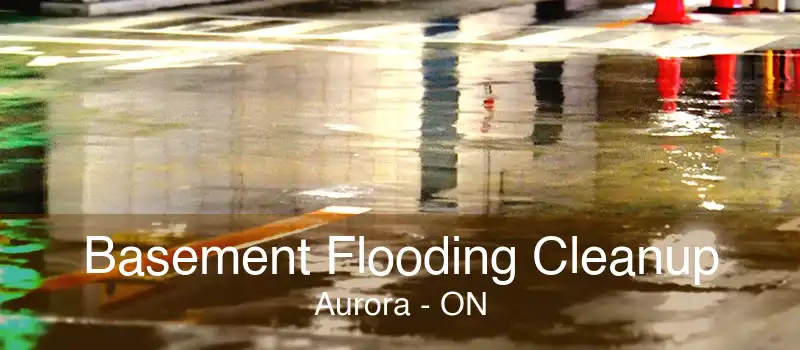 Basement Flooding Cleanup Aurora - ON