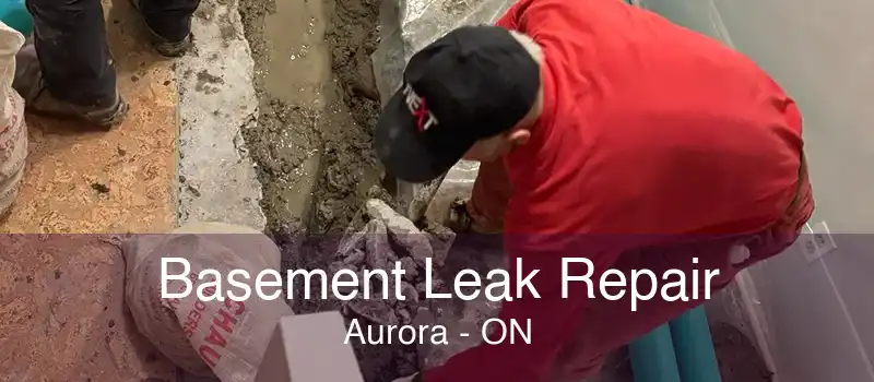 Basement Leak Repair Aurora - ON