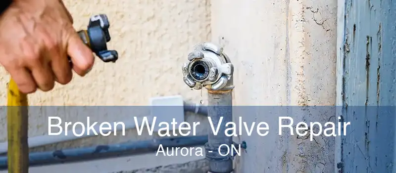 Broken Water Valve Repair Aurora - ON