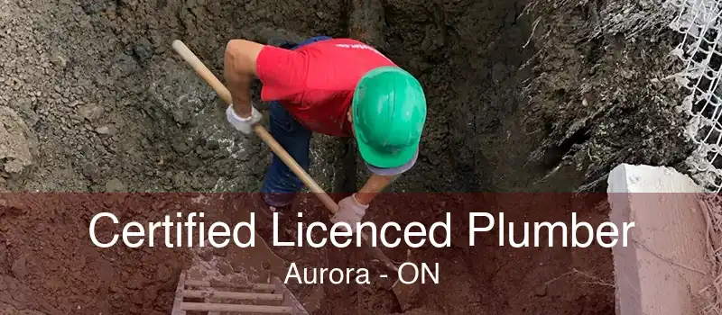 Certified Licenced Plumber Aurora - ON