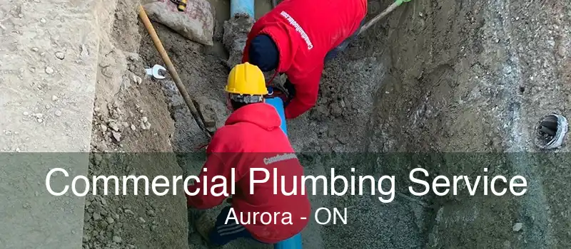 Commercial Plumbing Service Aurora - ON