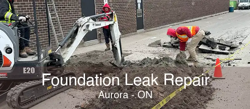 Foundation Leak Repair Aurora - ON