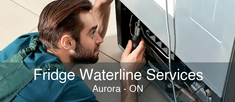 Fridge Waterline Services Aurora - ON