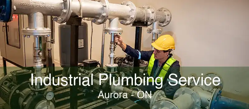 Industrial Plumbing Service Aurora - ON