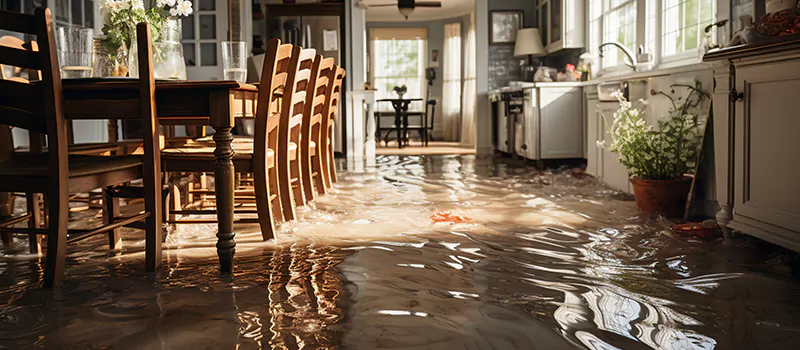 Flooded House Help Near Me in Aurora, Ontario