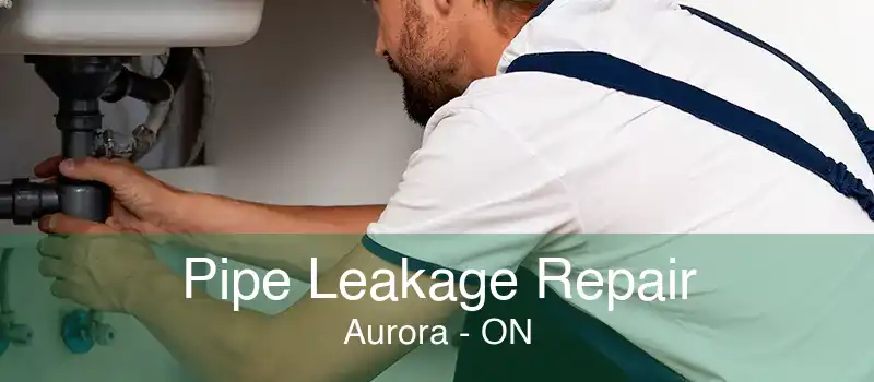 Pipe Leakage Repair Aurora - ON