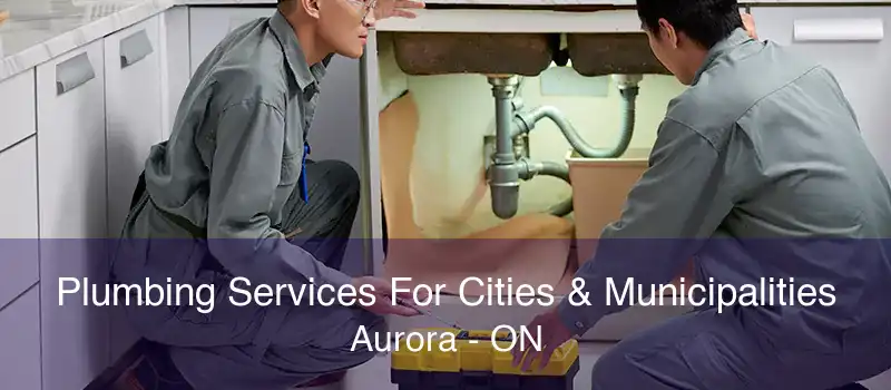 Plumbing Services For Cities & Municipalities Aurora - ON