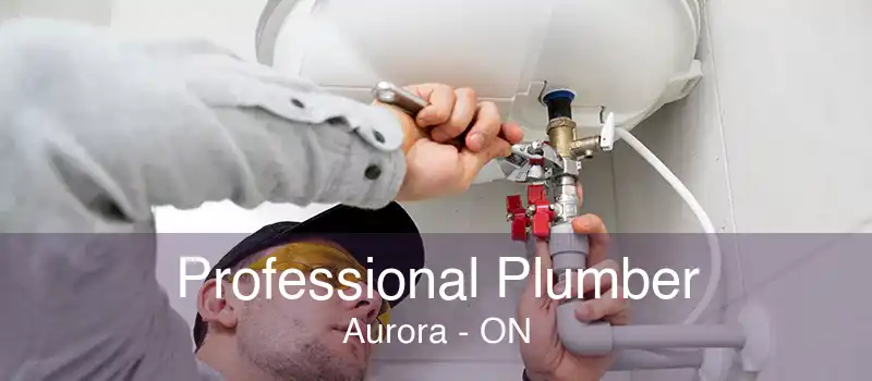 Professional Plumber Aurora - ON