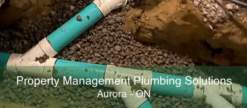 Property Management Plumbing Solutions Aurora - ON