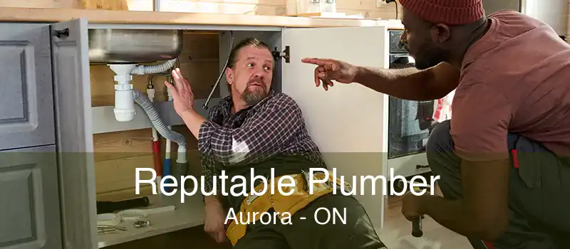 Reputable Plumber Aurora - ON