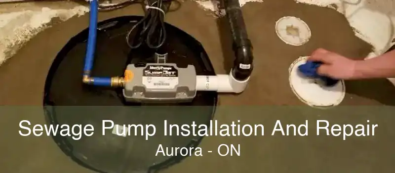 Sewage Pump Installation And Repair Aurora - ON