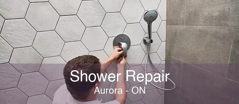 Shower Repair Aurora - ON