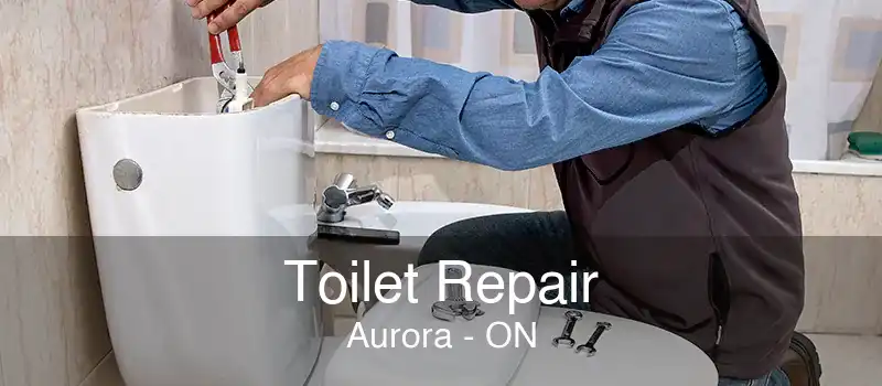 Toilet Repair Aurora - ON