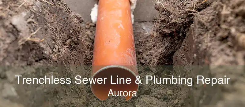 Trenchless Sewer Line & Plumbing Repair Aurora | Trenchless Sewer Line ...