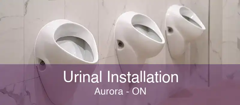 Urinal Installation Aurora - ON