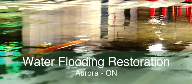 Water Flooding Restoration Aurora - ON