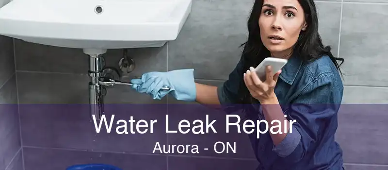 Water Leak Repair Aurora - ON