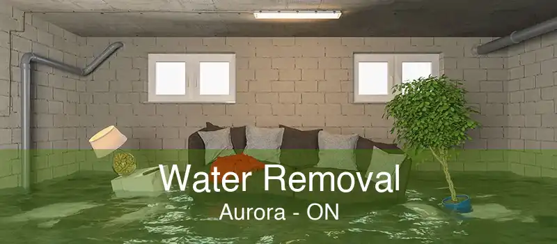 Water Removal Aurora - ON